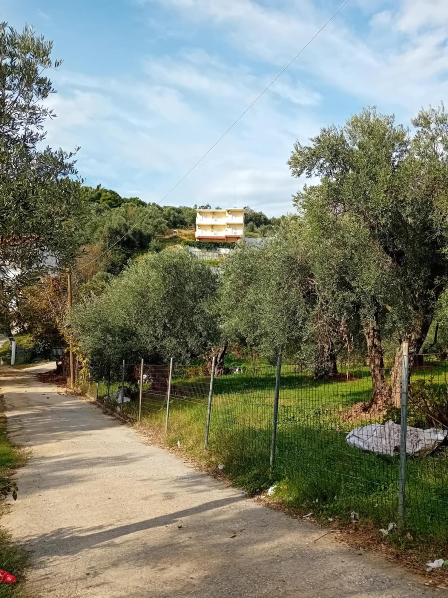 Villa Krini Città di Skiathos Esterno foto